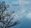 Andrés Thor Relocate (LP)
