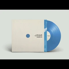 Mystery Jets A Hole To See The Sky Through - LTD (LP)