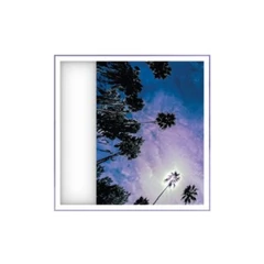 Look Outside Your Window Look Outside Your Window (CD)