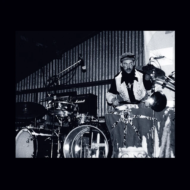 Sun City Girls The Palm Leaves Of Victory/Audio… (2LP) 