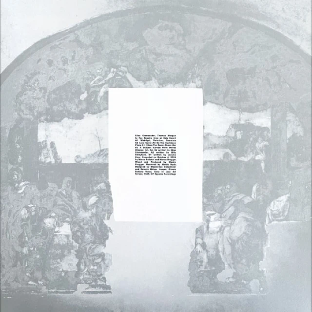Elias Stemeseder & Thomas Morgan Io Pur Respiro (LP) 