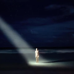 Ellen Allien New Life (2LP)