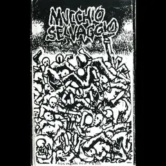 Declino/Negazione Mucchio Selvaggio (MC)