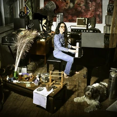 Joan As Police Woman Real Life Evolution (LP)