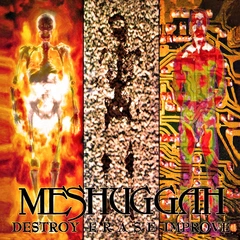 Meshuggah Destroy Erase Improve: 30th… - LTD (2LP)
