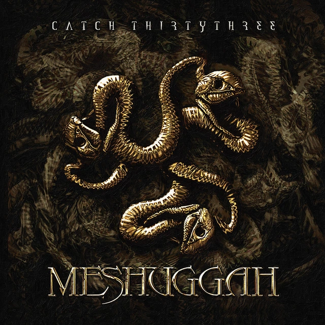 Meshuggah Catch Thirtythree: 20th… - LTD (2LP) 