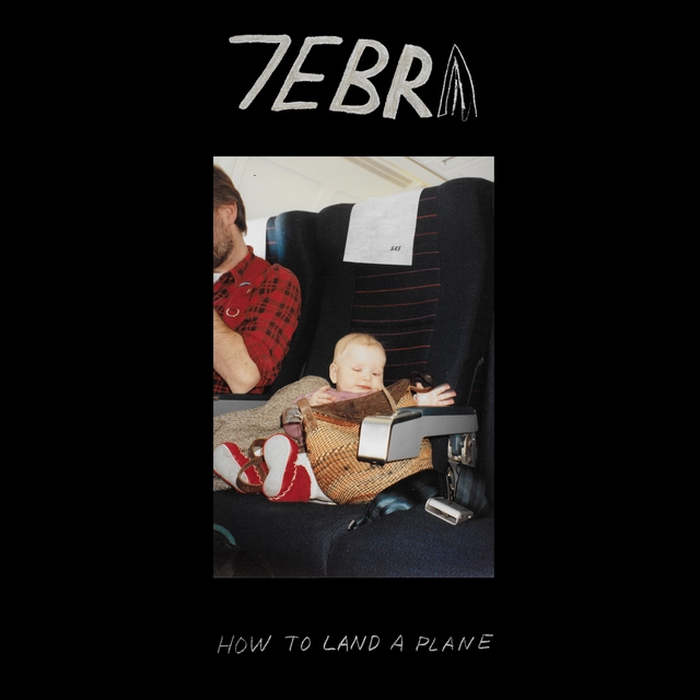7ebra How To Land A Plane (LP) 