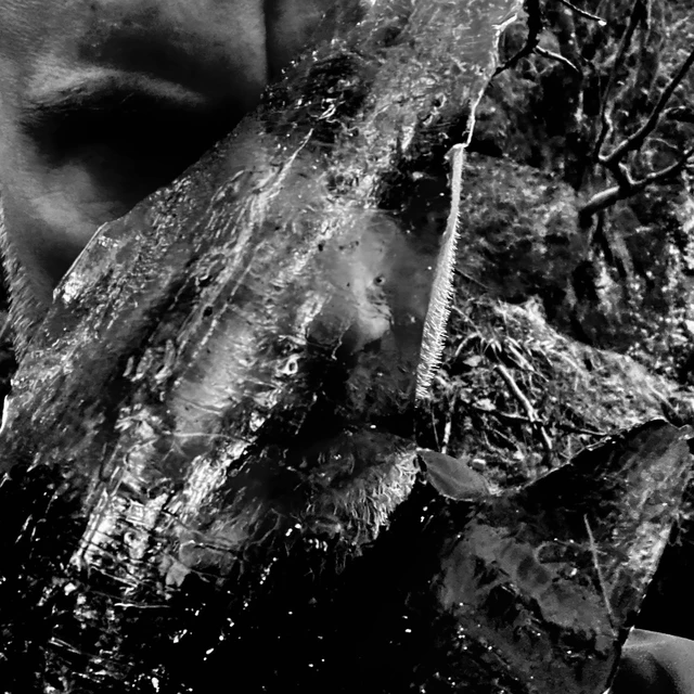 Taake En Skog Av Nidstang - LTD (LP) 