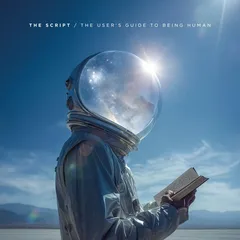 The Script The User's Guide To Being… - LTD (LP)