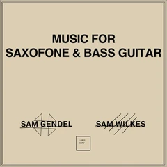 Sam Gendel &amp; Sam Wilkes Music For Saxofone &amp; Bass Guitar (12")