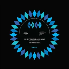 The Family Brick / Ray Gant I'll Fly To Your Open Arms (7")