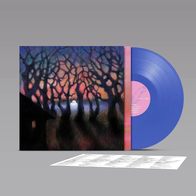 Family Stereo The Thread (LP) 