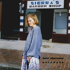 Drop Nineties Delaware (CD)