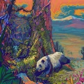 Grant The Sun Biomes (LP)