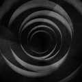 Cult Of Luna In The Shadow Of Your Shadow (2LP)