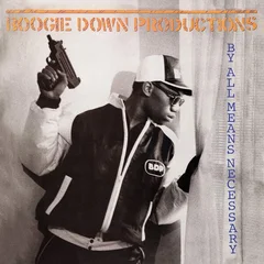 Boogie Down Productions By All Means Necessary (LP)