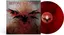 Before The Dawn Rise Of The Phoenix (LP)