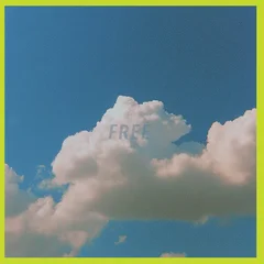 Tensnake Free - LTD (LP)