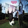 Everyone Says Hi Funny Cos It's True (LP)