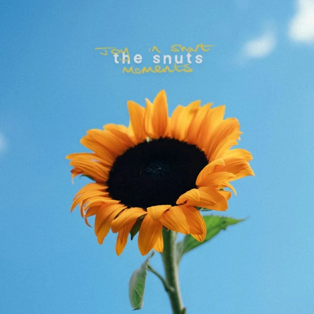 The Snuts Joy In Short Moments (LP) 