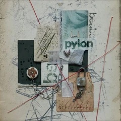 Beabadoobee Pylon (CD)
