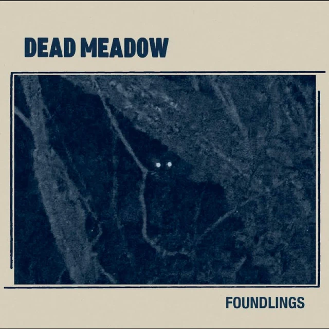 Dead Meadow Foundlings - LTD (LP) 
