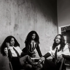 The Womack Sisters The Womack Sisters - LTD (LP)