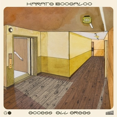 Karate Boogaloo Access All Areas - LTD (LP)