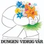 Dungen Vidrig Vår (LP)