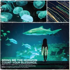 Bring Me The Horizon Count Your Blessings (LP)