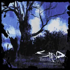Staind Break The Cycle: 25th… - LTD (LP)
