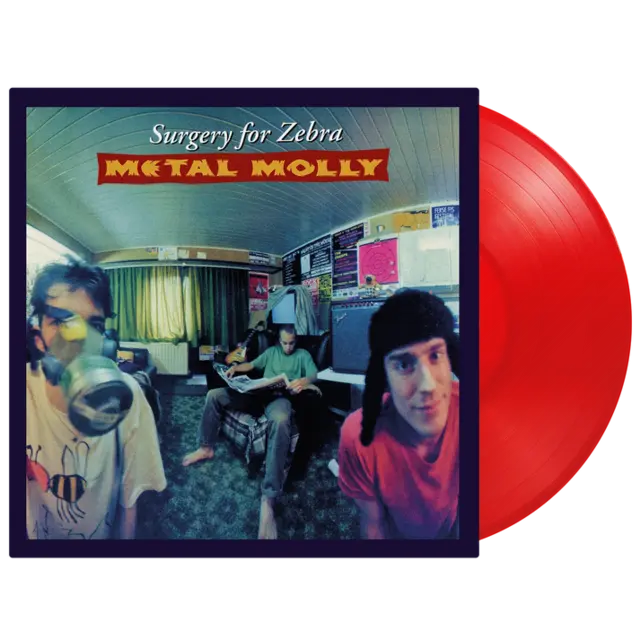 Metal Molly Surgery For Zebra - LTD (LP) 
