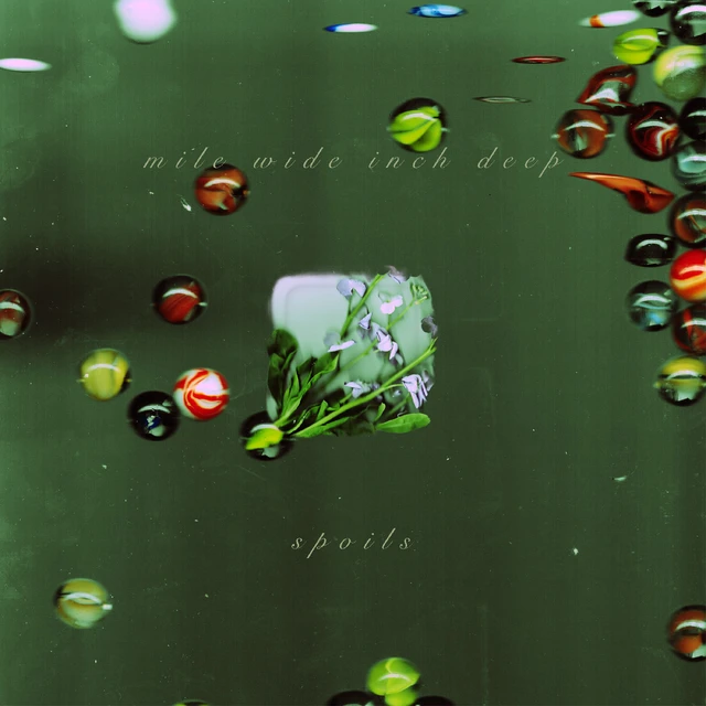 Spoils Mile Wide Inch Deep (CD) 