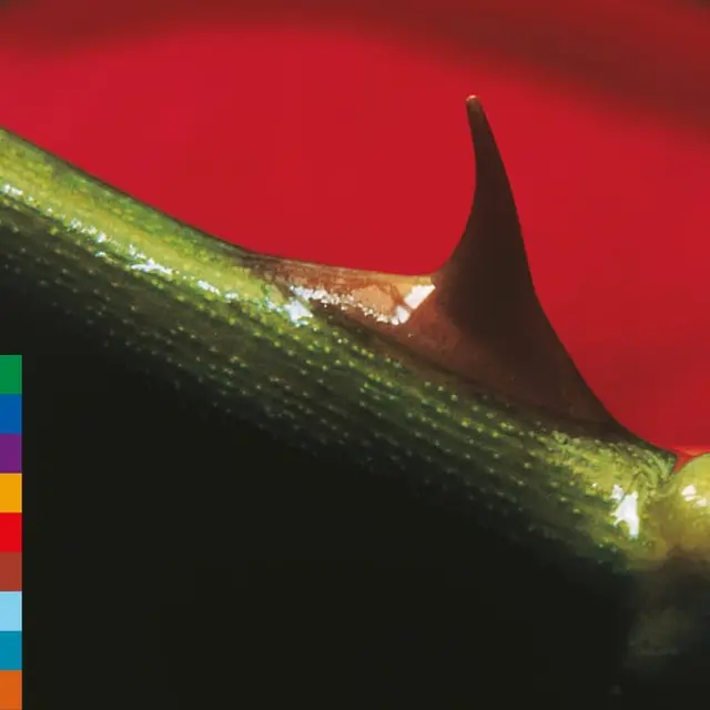 Nusrat Fateh Ali Khan Night Song - LTD (LP) 