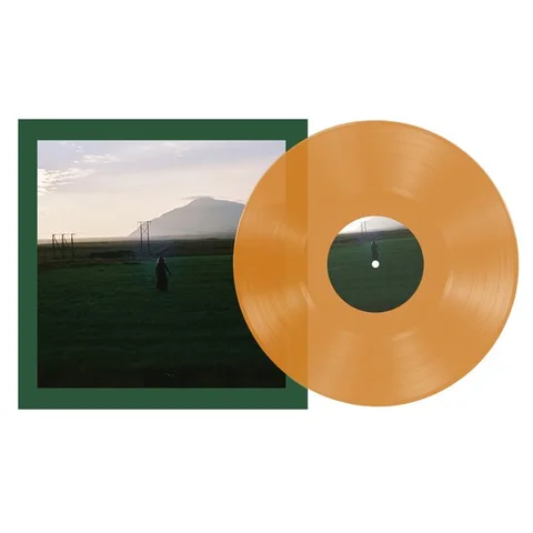 Ásgeir Julia - LTD (LP) 