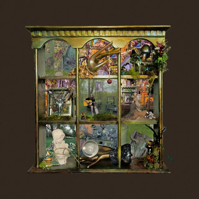 Billy Strings So Much For Goodbyes - LTD (2LP) 