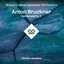 Royal Concertgebouw Orchestra Bruckner: Symphony No. 7 (2LP)