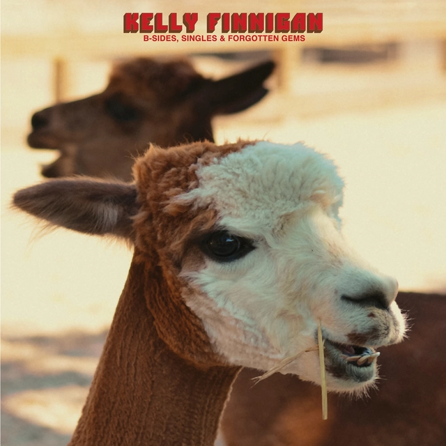 Kelly Finnigan B-Sides, Singles & Forgotten… - LTD (LP) 