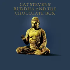 Cat Stevens Buddha And The Chocolate Box (LP)