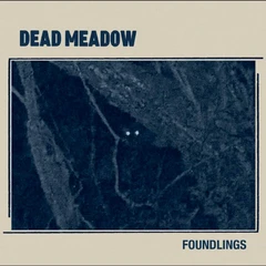 Dead Meadow Foundlings (LP)