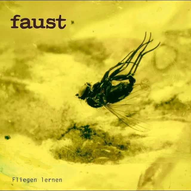 Faust Fliegen Lernen (CD) 