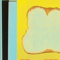 Asher White Love Aggregates (LP)