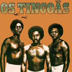 Os Tincoas Os Tincoas - LTD (LP)