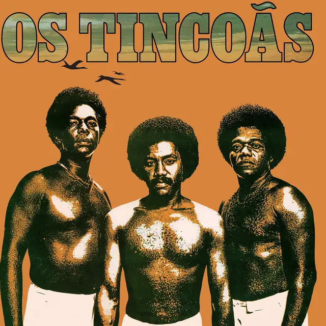 Os Tincoas Os Tincoas - LTD (LP) 