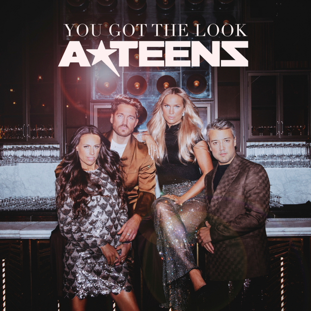 A*Teens You Got The Look (CD-Single) 