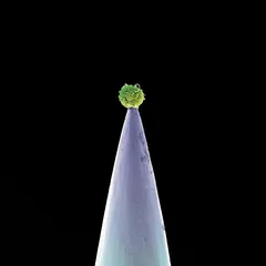 Peter Gabriel New Blood (CD)