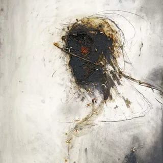 Peter Gabriel Passion (CD)