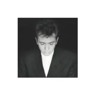 Peter Gabriel Shaking The Tree (CD)