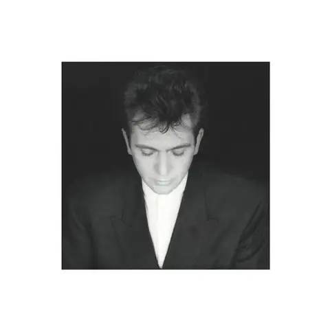 Peter Gabriel Shaking The Tree (CD) 