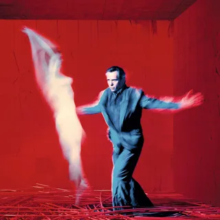 Peter Gabriel Us (CD)